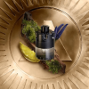AZZARO WANTED THE MOST 100ML - Imagen 3